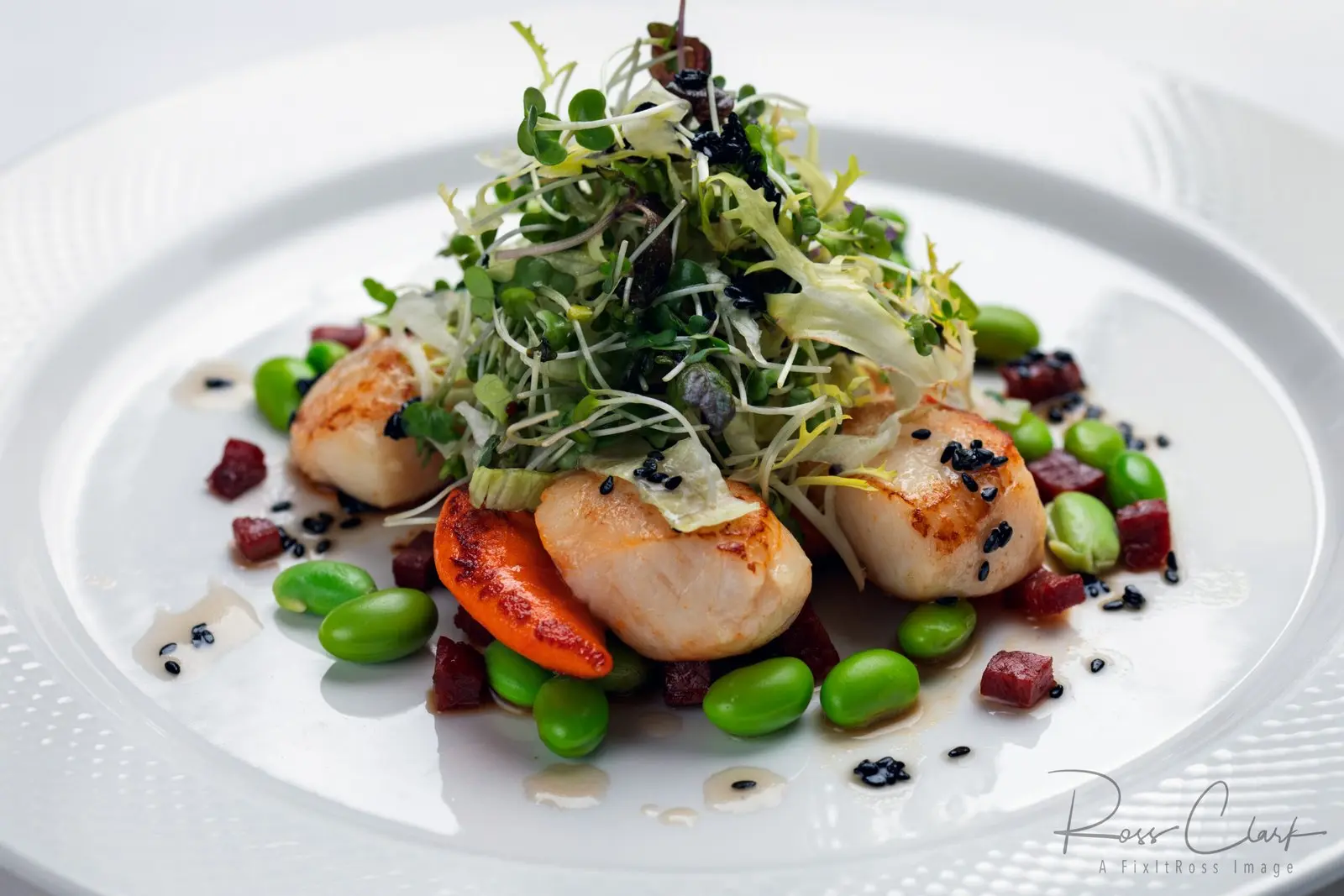 Styled seafood dish photographed by FixItRoss
